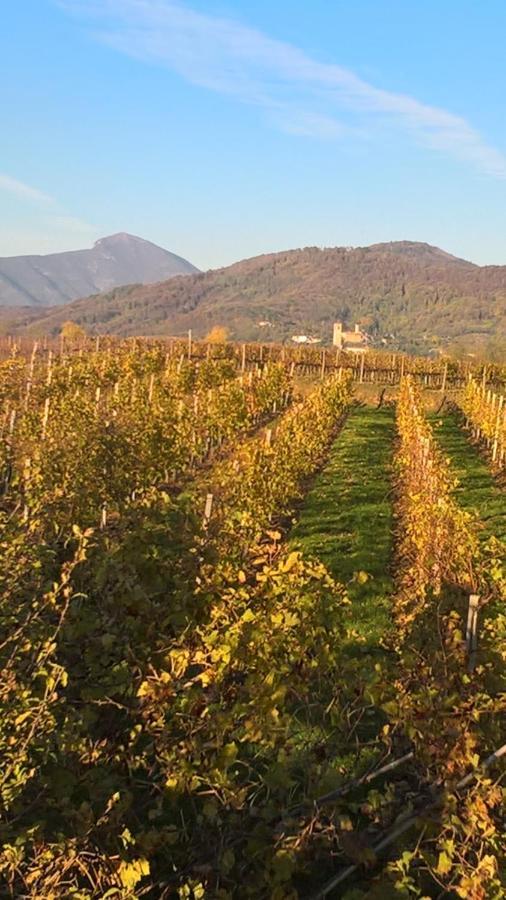 Acero Rosso B&B In Franciacorta Erbusco Buitenkant foto